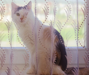 Similar image 10493330