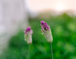 Similar image 10493344