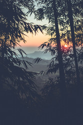 Similar image 10493366