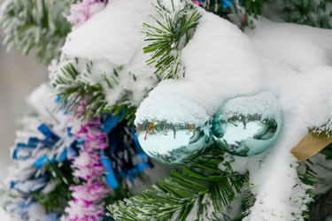 Similar image 10493452