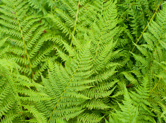 Similar image 10493494