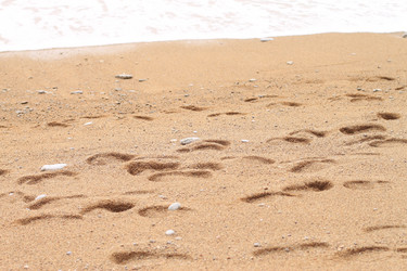 Similar image 10493812