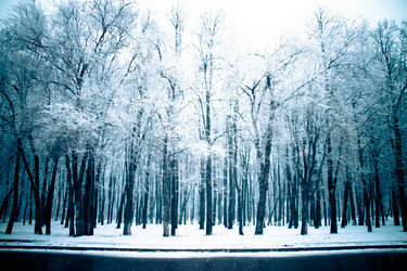 Similar image 10493890