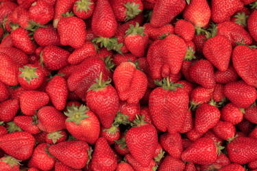 Similar image 10493891