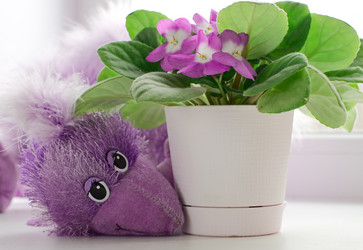 Similar image 10494305