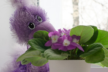 Similar image 10494306