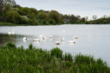 Similar image 10494310