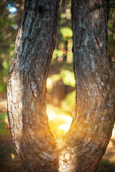 Similar image 10494312