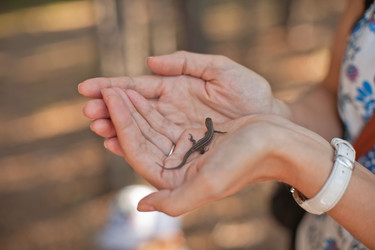 Similar image 10494323