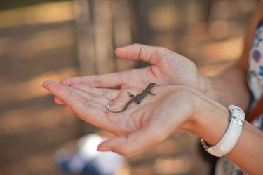 Similar image 10494324