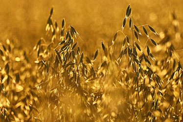 Similar image 10494854