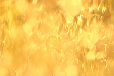 Similar image 10494860