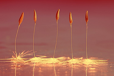 Similar image 10494876