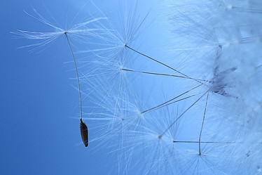 Similar image 10494877