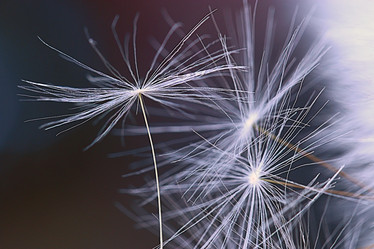 Similar image 10494879