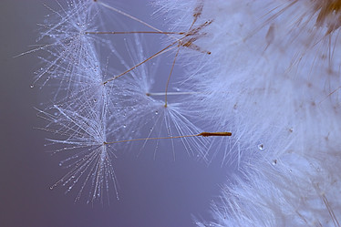 Similar image 10494883