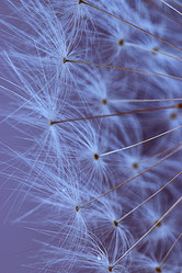 Similar image 10494885