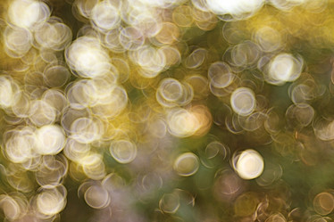 Similar image 10494888