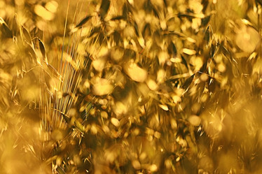 Similar image 10494890