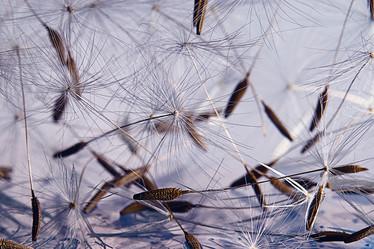 Similar image 10494893