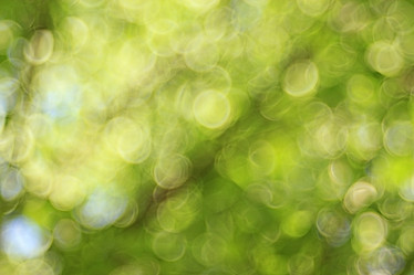 Similar image 10494908