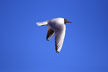 Similar image 10494909