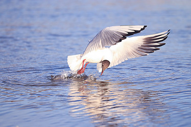 Similar image 10494912