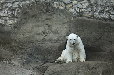 Similar image 10494917