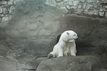 Similar image 10494918