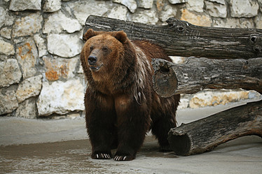 Similar image 10494922