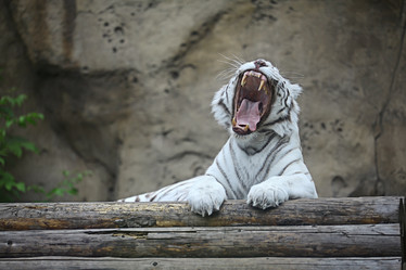 Similar image 10494925