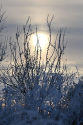 Similar image 10494984