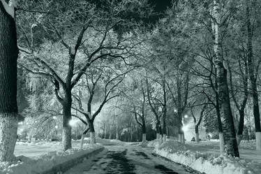 Similar image 10494988