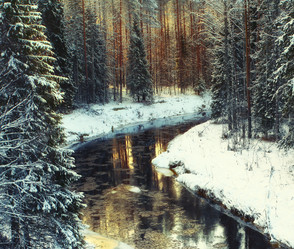 Similar image 10494996