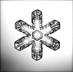 Similar image 10495003