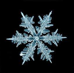 Similar image 10495007