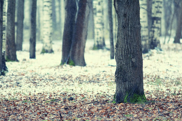 Similar image 10495040