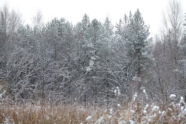 Similar image 10495044