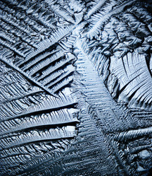 Similar image 10495050