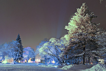 Similar image 10495061