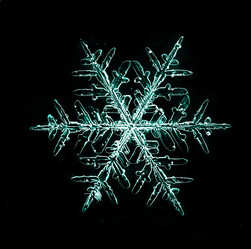 Similar image 10495066