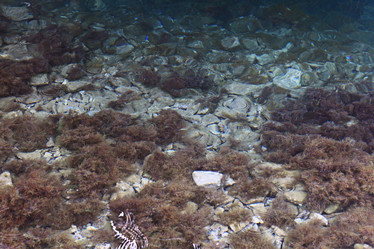 Similar image 10495074