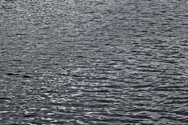 Similar image 10495079