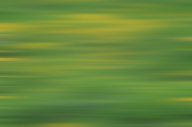 Similar image 10495081