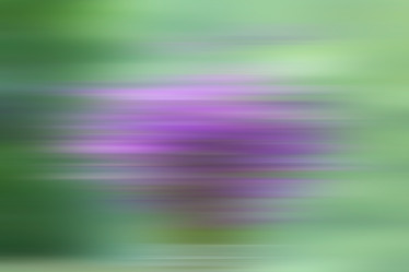 Similar image 10495082