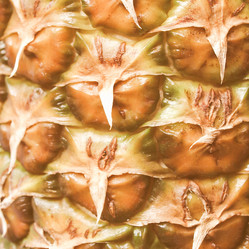 Similar image 10495099