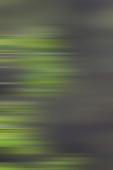 Similar image 10495113