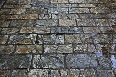 Similar image 10495117