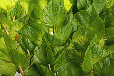 Similar image 10495121