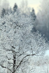 Similar image 10495127